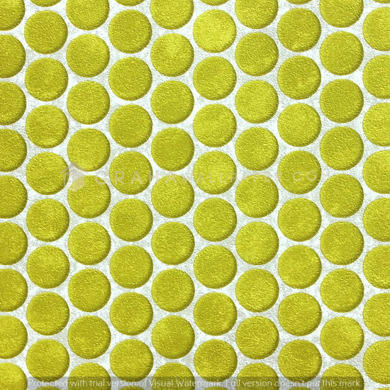 20. DV1520