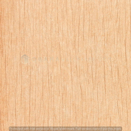 46. DV1601